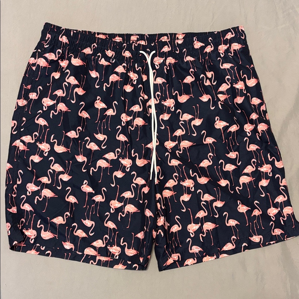 Men’s Flamingo Print Swim Shorts